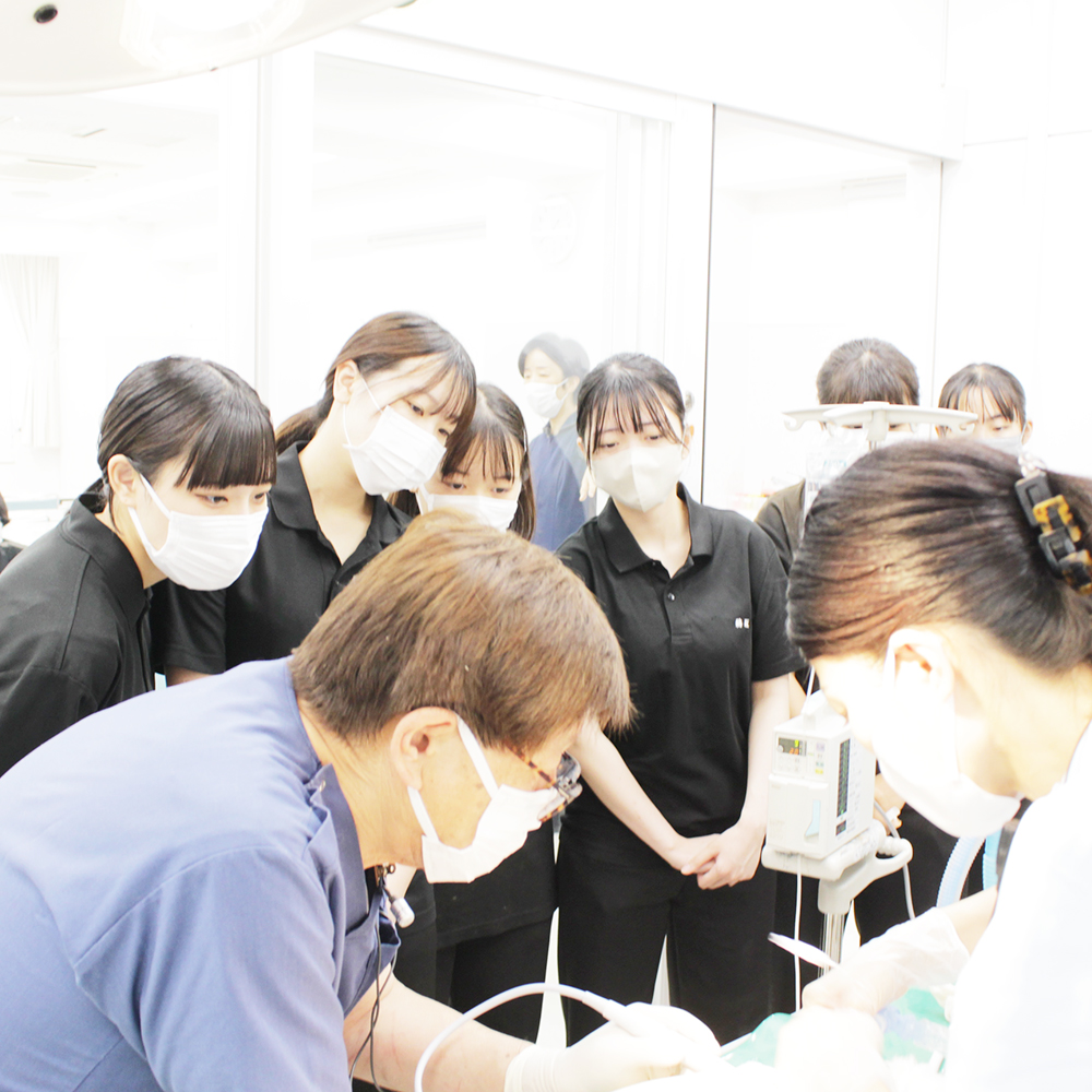 歯石除去処置のスキルアッププログラム☆